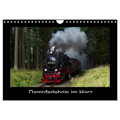 Dampferlebnis im Harz (Wandkalender 2026 DIN A4 quer), CALVENDO Monatskalender