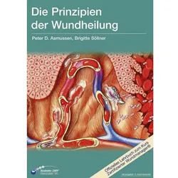 Die Prinzipien der Wundheilung, Fachbücher von Gerhard Kammerlander, Peter D. Asmussen, Brigitte Söllner