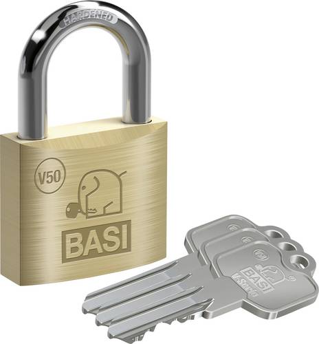 Basi V5091-0050-0010 Vorhängeschloss gleichschließend Profilzylinder-Vorhangschloss