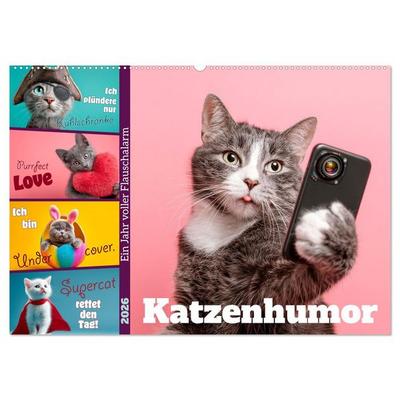 Katzenhumor - Ein Jahr voller Flauschalarm (Wandkalender 2026 DIN A2 quer), CALVENDO Monatskalender