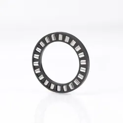 Axial-Zylinderrollenkranz K81111 TN