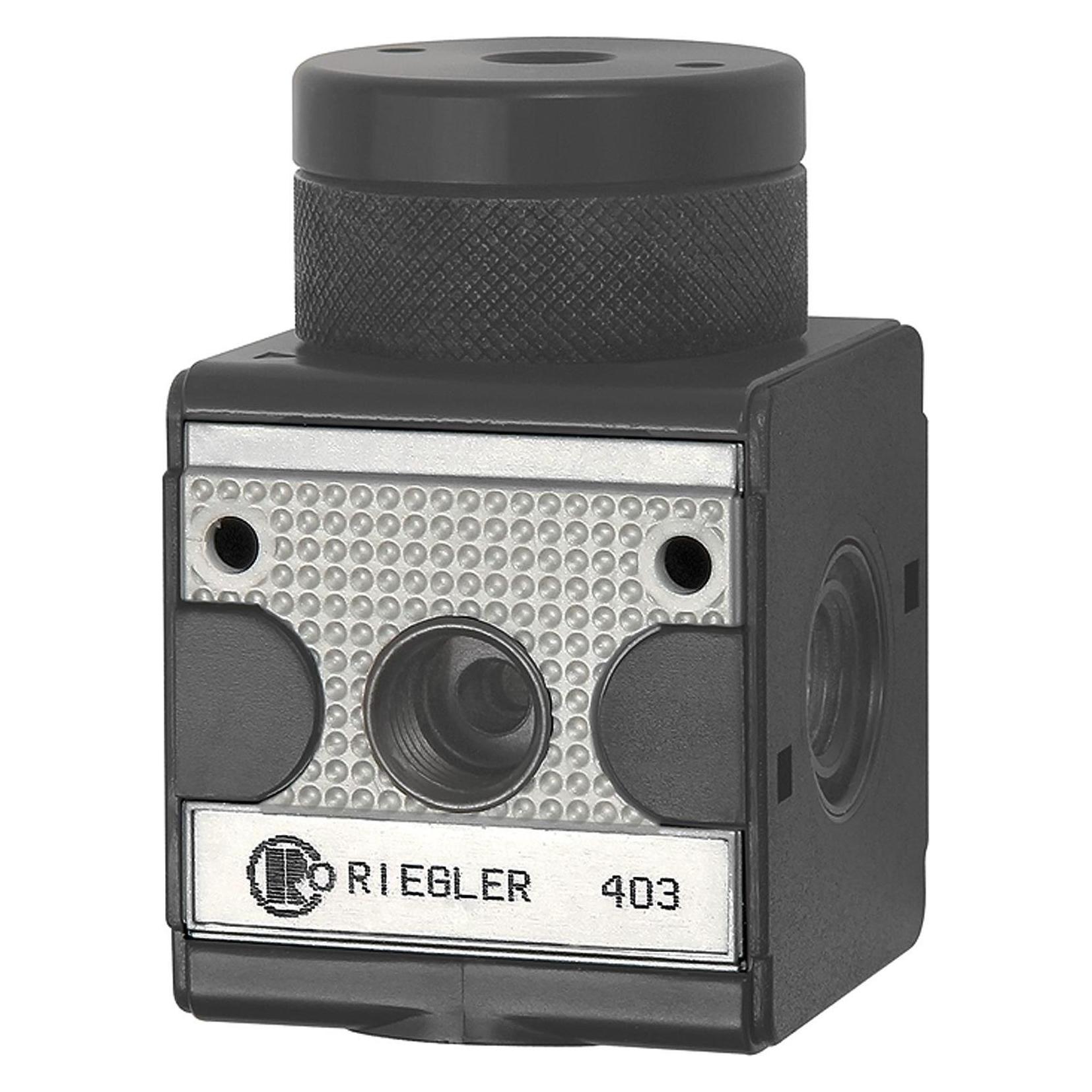 Riegler Druckregler pneumatisch ferngesteuert "multifix", BG 3, G 1/2 (RI 33)