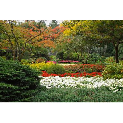 Papermoon "Blumen Garten"