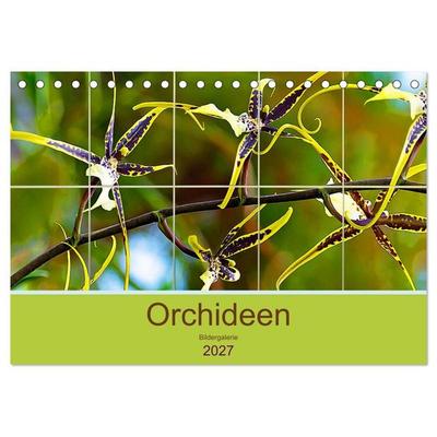 Orchideen Bildergalerie (Tischkalender 2027 DIN A5 quer), CALVENDO Monatskalender