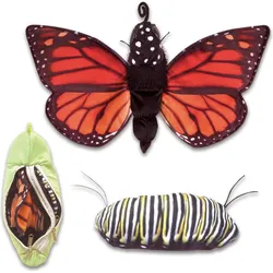 Folkmanis Metamorphose Schmetterling