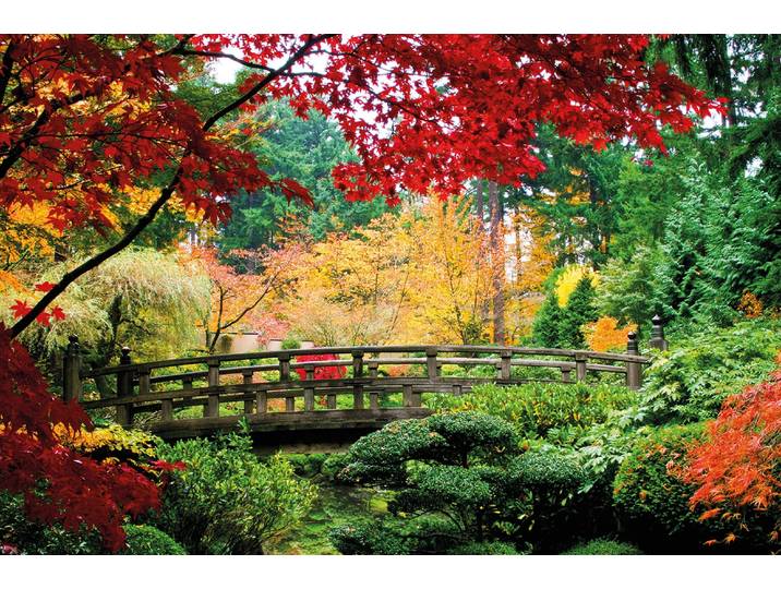 Fototapete PAPERMOON Bridge in Japanese Garden , bunt, B:1,5m L:1,11m, Vlies, Tapeten, Fototapete