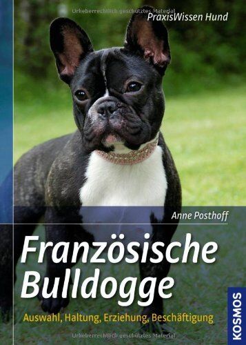 Anne Posthoff - Französische Bulldogge: Auswahl, Haltung, Erziehung, Beschäftigung - Preis vom 05.10.2026 03:47:11 h