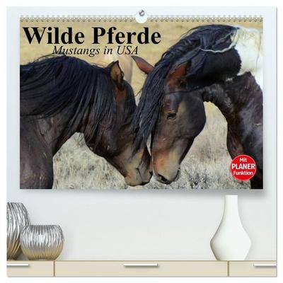 Wilde Pferde. Mustangs in USA (hochwertiger Premium Wandkalender 2027 DIN A2 quer), Kunstdruck in Hochglanz