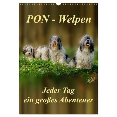 PON-Welpen - jeder Tag ein großes Abenteuer / Planer (Wandkalender 2026 DIN A3 hoch), CALVENDO Monatskalender