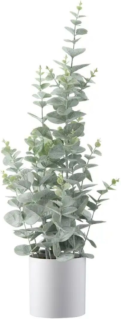 Höffner Eukalyptus getopft   ¦ grün ¦ Kunststoff ¦ Maße (cm): H: 65