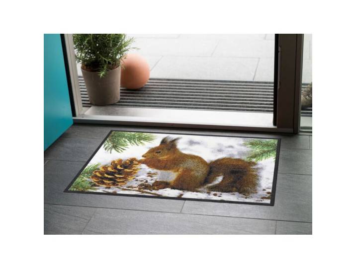 Türvorlage Eichhörnchen 50x75 cm