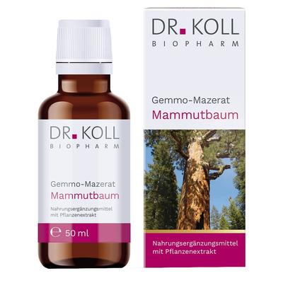 Gemmomazerat Mammutbaum Bio 50 ml Tropfen