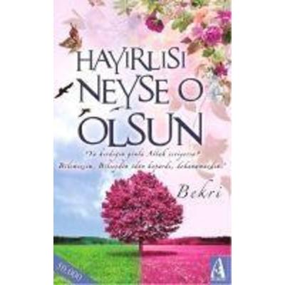 Hayirlisi Neyse O Olsun, Taschenbuch von Bekri, Arunas Yayincilik, 978-605--475164-8