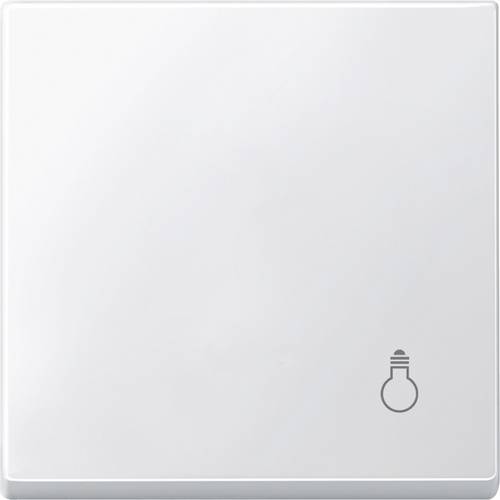 Merten Wippe Licht pws MEG3302-0419