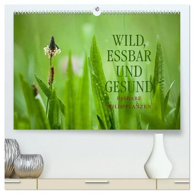 WILD, ESSBAR UND GESUND Essbare Wildpflanzen (hochwertiger Premium Wandkalender 2026 DIN A2 quer), Kunstdruck in Hochglanz
