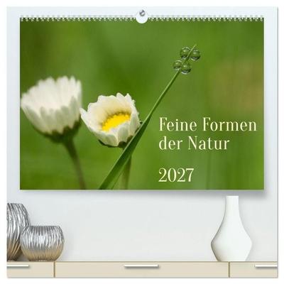 Feine Formen der Natur (hochwertiger Premium Wandkalender 2027 DIN A2 quer), Kunstdruck in Hochglanz
