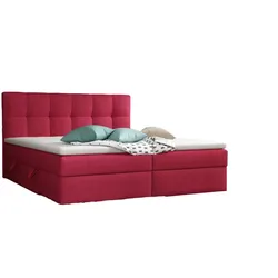 BOXBETT Arturo In Soro