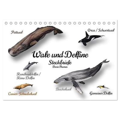 Wale und Delfine Steckbriefe (Tischkalender 2027 DIN A5 quer), CALVENDO Monatskalender
