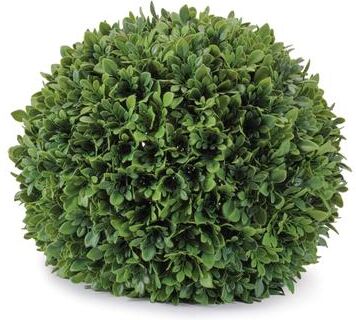 Melrose International "Boxwood Foliage Orb 13""D"