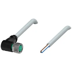 Pepperl+Fuchs Fabrik Kabeldose V31-WM-5M-PVC