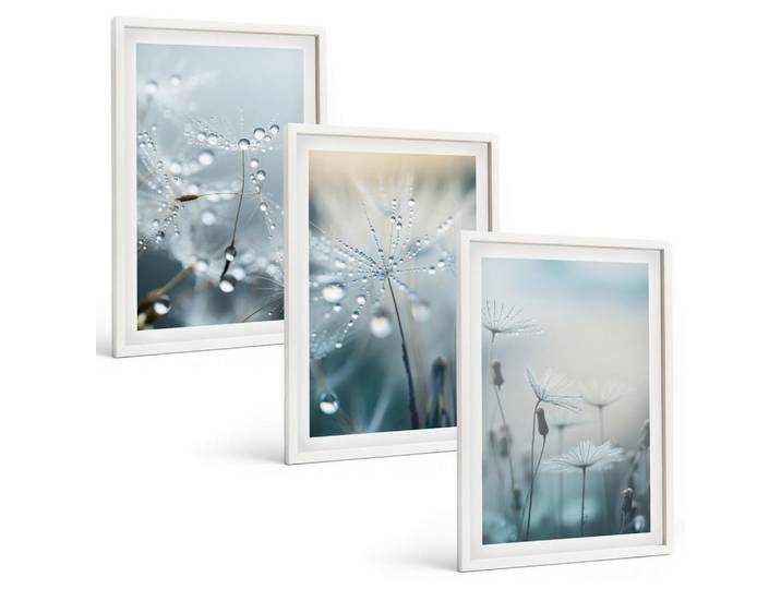 Tulup Bilder SET 3er Set - 40x60 cm Weißer Rahmen - Tautropfen auf Löwenzahn, Kunststoff, Rechteckig, 40x60 cm, Fotografie, Bilder & Rahmen, Bilder
