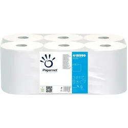 Selbstgeschnittene Handtuchrolle 100mx19.2cm 2Fls PAPERNET 6un
