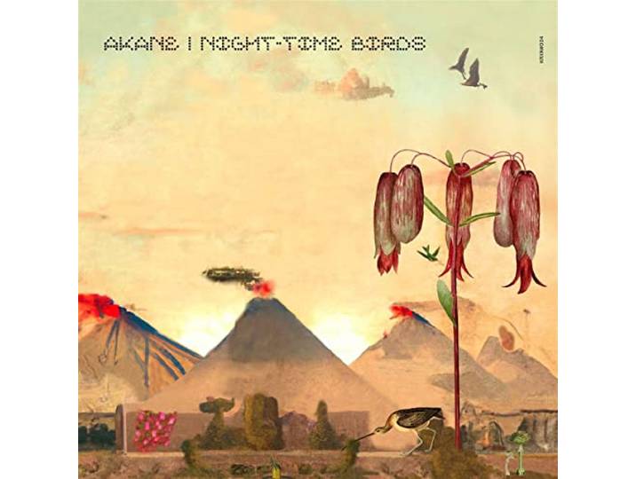 Night-Time Birds