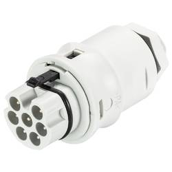 Wieland Electric 96.072.6153.0 Geräteanschluss