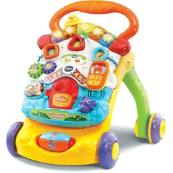 VTech Primi passi musicale 2 in 1