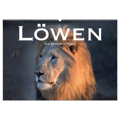 Löwen. Die Könige Afrikas (Wandkalender 2027 DIN A2 quer), CALVENDO Monatskalender