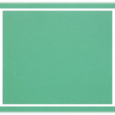Clairefontaine Zeichenpapier Tulipe A4 160g, Ries 100 Blatt - Dunkelgrün 960478C