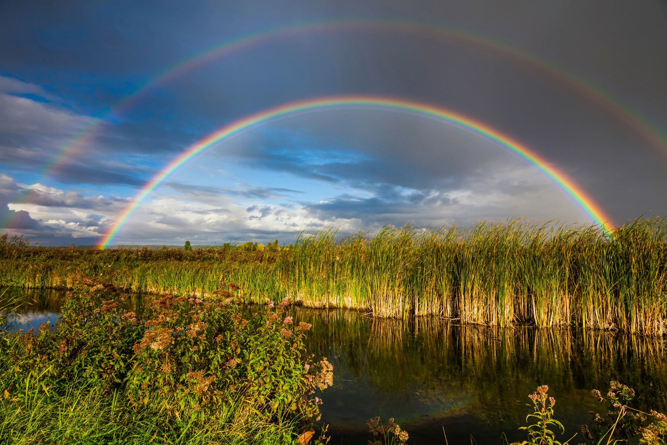 Papermoon "REGENBOGEN ÜBER FLUSS-LANDSCHAFT NATUR HIMMEL WOLKEN" bunt B/L: 5m x 2,8m, Bahnen: 10 Stk.
