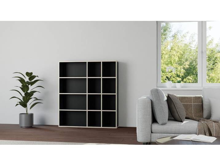 Pickawood Regal - Individualisierbar - Weiß/Grau/Schwarz Premium Dekore Schwarz Multiplex Kante