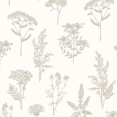 Veer Decor Luminous Botanical Sketch Wallpaper