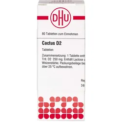 Cactus D 2 80 ST