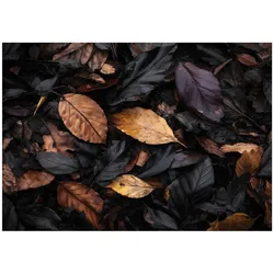 FOTOTAPETE Blätter Natur Schwarz 150x105 cm