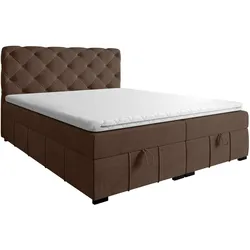 BOXBETT Gisel
