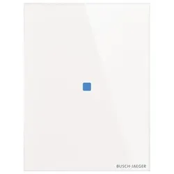 Busch-Jaeger Touch-Bedienelement TB/U1.2.11-CG