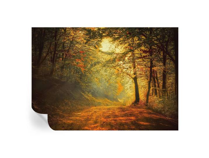 Wallfluent Fototapete 312x219 cm - Herbstlandschaft, Gelb, 312x219 cm, Tapeten & Wandverkleidungen, Fototapeten