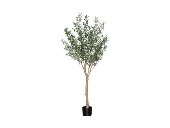 Lebensechte Kunstpflanze „Olivenbaum Europaea Tree XL“, Ø 65 x 240 cm Grün Baq Design