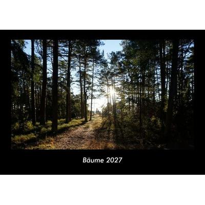 Bäume 2027 Fotokalender DIN A3