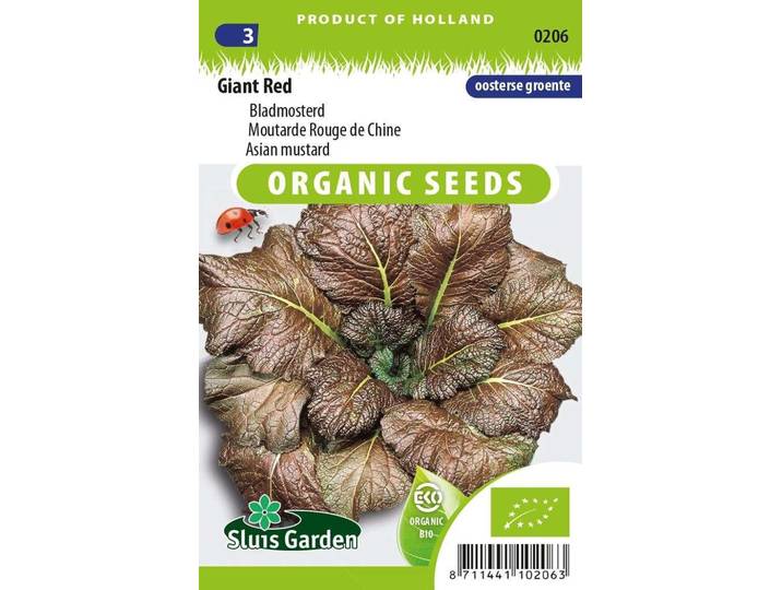 Bladmosterd zaden Giant Red BIO