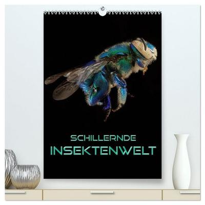 Schillernde Insektenwelt (hochwertiger Premium Wandkalender 2026 DIN A2 hoch), Kunstdruck in Hochglanz