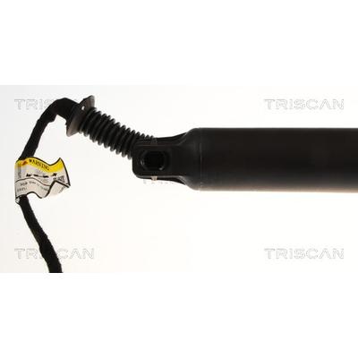 TRISCAN 8710 28305 für Peugeot