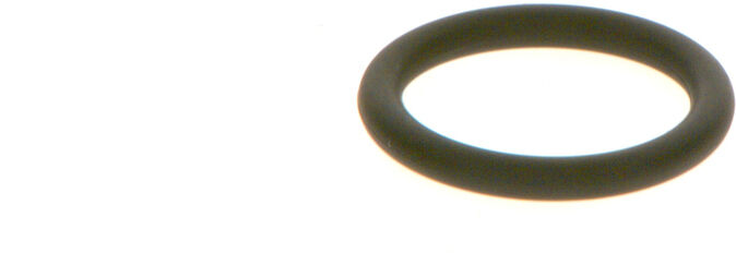 Bosch Gummiring F00rj01605 Für Fiat