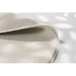 Schöner Wohnen Kollektion Teppich Pure D.190 C.000 creme 160x160 cm rund