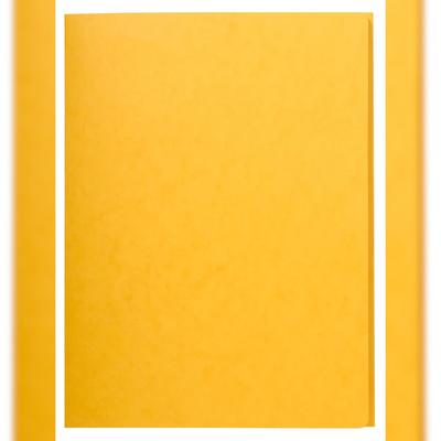 Exacompta 56404E 25x Aktenmappen mit 3 Klappen aus Colorspan-Karton 400g, für Format DIN A4 - Gelb