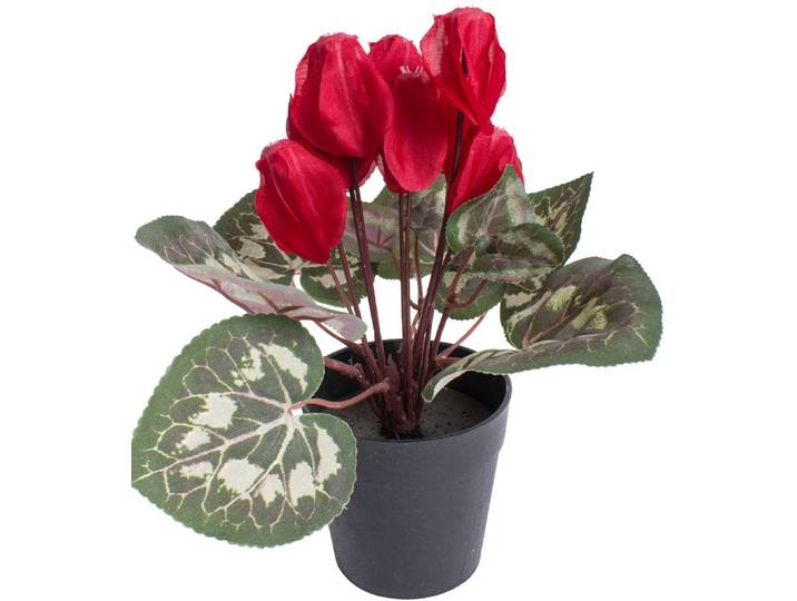 Kunstblume BOTANIC-HAUS Alpenveilchen , rot, B:20cm H:24cm T:20cm Ø:20cm, Kunststoff, Kunstpflanzen, Kunstblume