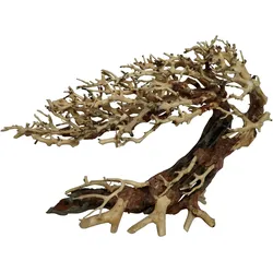 4fish Traerødder, Elegant brasilian tree, 40x20x30 cm (Dekoration, sonstige Gegenstände), Aquarium Dekoration