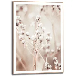 Bild DRIED WHITES (LBH 50x1,60x70 cm) - bunt - LBH 50x1,60x70 cm